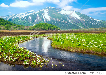 Shibutsu 山和臭白菜 2 Shibutsu 山和臭白菜 2 79422430