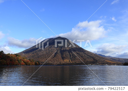 Autumn leaves of sunlight 79422517