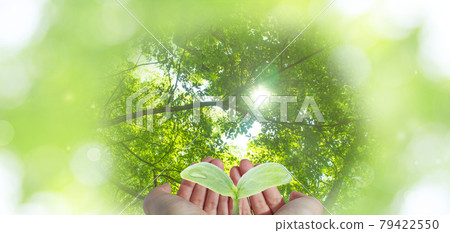 Earth-friendly electricity (eco, use of renewable energy, power generation that emits as little carbon dioxide as possible) Earth-friendly electricity (eco, use of renewable energy, power generation that emits as little carbon dioxide as possible) 79422550