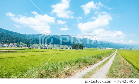 Summer countryside scenery 79423400