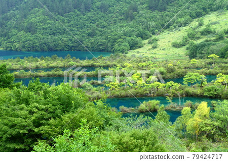 中國四川省九寨溝蜀政附近的蜀政群海 中國四川省九寨溝蜀政附近的蜀政群海 79424717