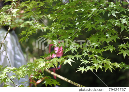 People who take Aoi Matsuri at Shimogamo Shrine 79424767