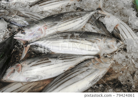 First eel on the market 79424861