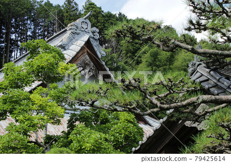 Idaira, Inasa-cho, Kita-ku, Hamamatsu City, Chokoji Temple, September 79425614