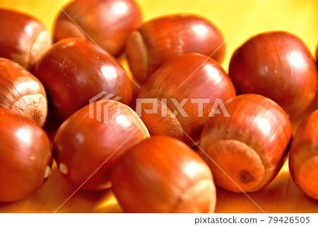 橡子果實(Kunugi) 橡子果實(Kunugi) 79426505