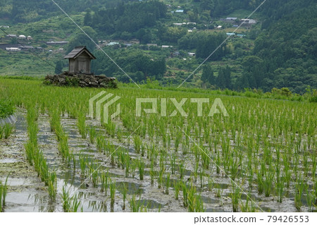 衛報監護人 79426553