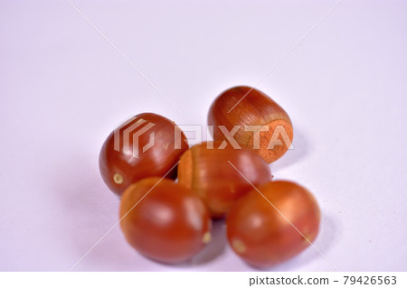 橡子果實（Kunugi） 79426563