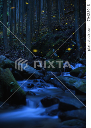 清澈的溪流和小花的光 清澈的溪流和小花的光 79428048