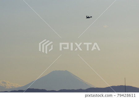 Osprey flying with Mt. Fuji at dusk 79428611