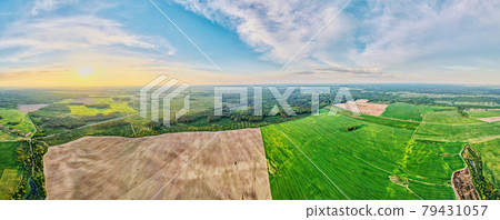 Aerial view of agricultural and green fields in countryside Aerial view of agricultural and green fields in countryside 79431057
