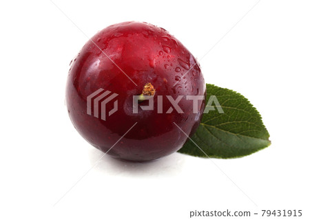 Plum and leaf Plum and leaf 79431915