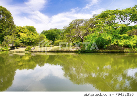 中島附近的東京六義園特別名勝 79432856