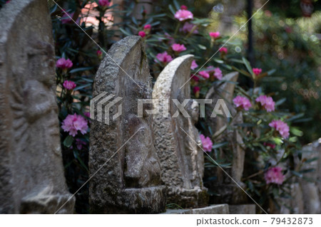 室久寺地藏與杜鵑 室久寺地藏與杜鵑 79432873