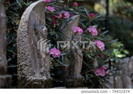 室久寺地藏與杜鵑 室久寺地藏與杜鵑 79432874