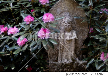 室久寺地藏與杜鵑 室久寺地藏與杜鵑 79432878