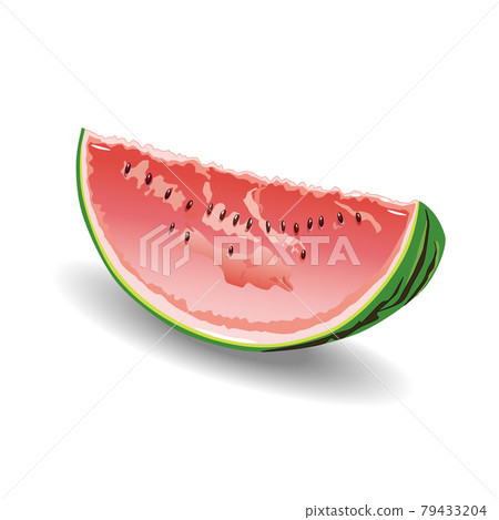 Watermelon illustration Watermelon illustration 79433204