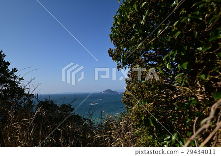 從海岸的樹上看到的風景 79434011