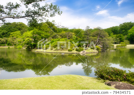 中島附近的東京六義園特別名勝 中島附近的東京六義園特別名勝 79434571