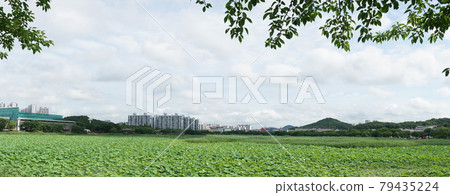 華朗湖 華朗湖 79435224