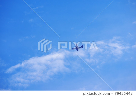 C-130 Hercules 79435442