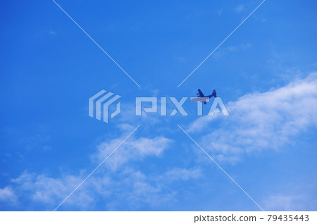 C-130 Hercules 79435443