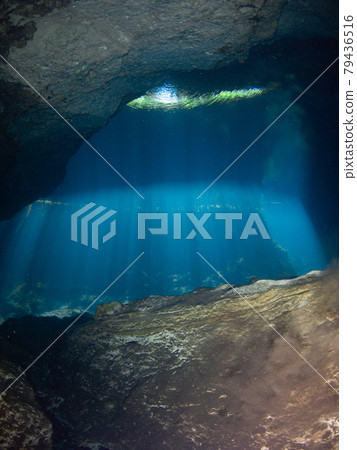 水下洞穴 (Cenote)，陽光從天花板上的一個洞照射進來（墨西哥普拉亞德爾卡門） 79436516