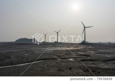 Tandong Port, Ansan City, Gyeonggi-do 79436689