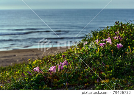 夜景中的能登海岸 夜景中的能登海岸 79436723