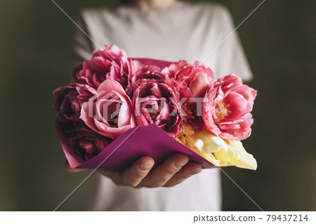 A woman holds a bouquet of pink tulips in her hands 79437214