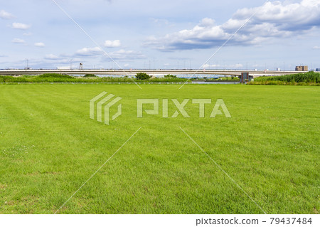 Riverbed lawn ground 79437484