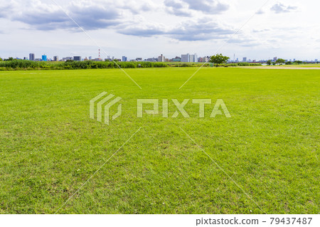 Riverbed lawn ground 79437487