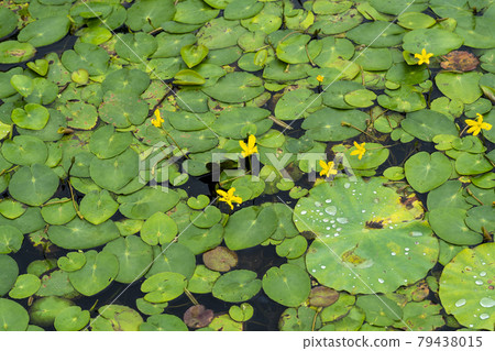 Gwangokji Gwangokji 79438015