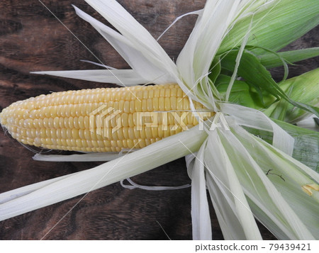 Corn 79439421