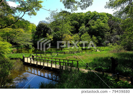 國立科學博物館附屬自然研究所 79439880