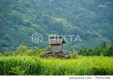 The guardian who protects the rice fields 79441986