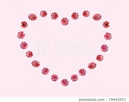 Pink gerberas lined up in a heart shape on a pink background Pink gerberas lined up in a heart shape on a pink background 79442051