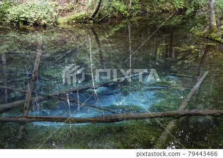 God's Pond God's Pond 79443466