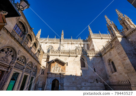 Cathedral of Incarnation in Granada city. Andalusia, Spain. 79443527