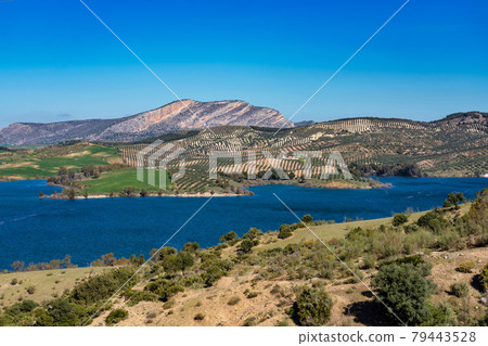 Lake Embalse del Guadalhorce, Ardales Reservoir, Malaga, Andalusia, Spain 79443528