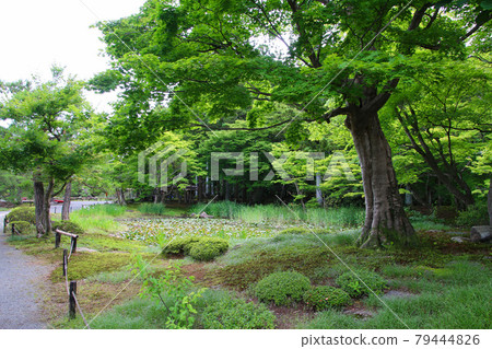 Jorakuen / Tohoku Famous Garden (Fukushima Prefecture / Fukushima City) 79444826