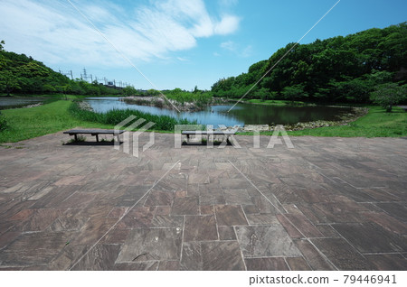 千葉公園 千葉公園 79446941