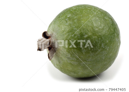 Feijoa fruit 79447405