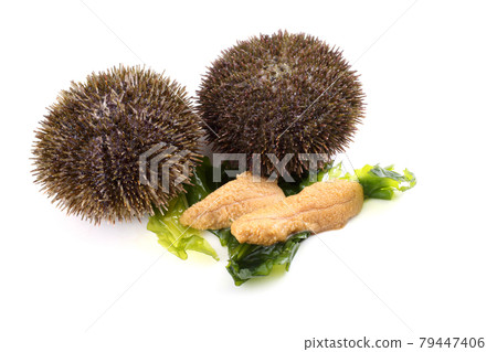 Gray sea urchins and caviar Gray sea urchins and caviar 79447406