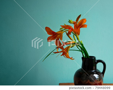 Tiger lily in ceramic vase with shadow turquoise wall background Lilium lancifolium orange flowers cottagecore aesthetic Tiger lily in ceramic vase with shadow turquoise wall background Lilium lancifolium orange flowers cottagecore aesthetic 79448099