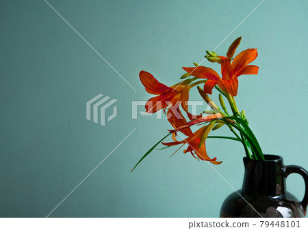 Tiger lily in ceramic vase with shadow turquoise wall background Lilium lancifolium orange flowers cottagecore aesthetic Tiger lily in ceramic vase with shadow turquoise wall background Lilium lancifolium orange flowers cottagecore aesthetic 79448101