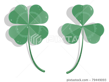 Realistic three and four leaf clover in cartoon style. Clover leaf with dew drops. Holiday symbol, mascot. Isolated vector on white background 79449093