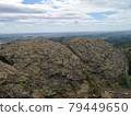 A large stone on the background of mountains with trees 79449650