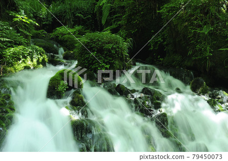 Motoyuki underwater water Motoyuki underwater water 79450073
