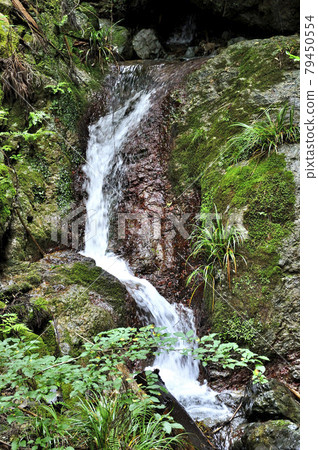 橫瀨川支流井之入的溪流奧武藏的圓山之森 79450554