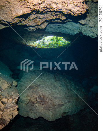 從水下石灰岩洞穴（Cenote）（墨西哥普拉亞德爾卡門）內部仰望通向外部的垂直洞 79450704